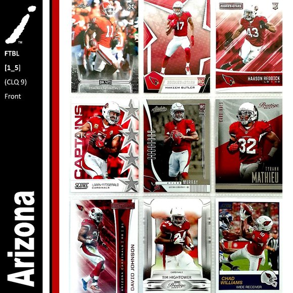 NFL Other - Arizona Cardinals 9 Player Card Lot - FTBL [1_5]